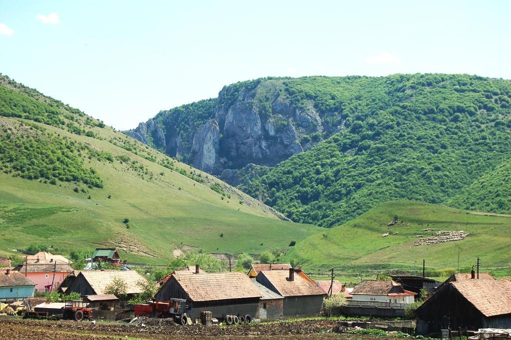 Pension Laura Cheile Turzii Petreştii de Jos Exterior foto