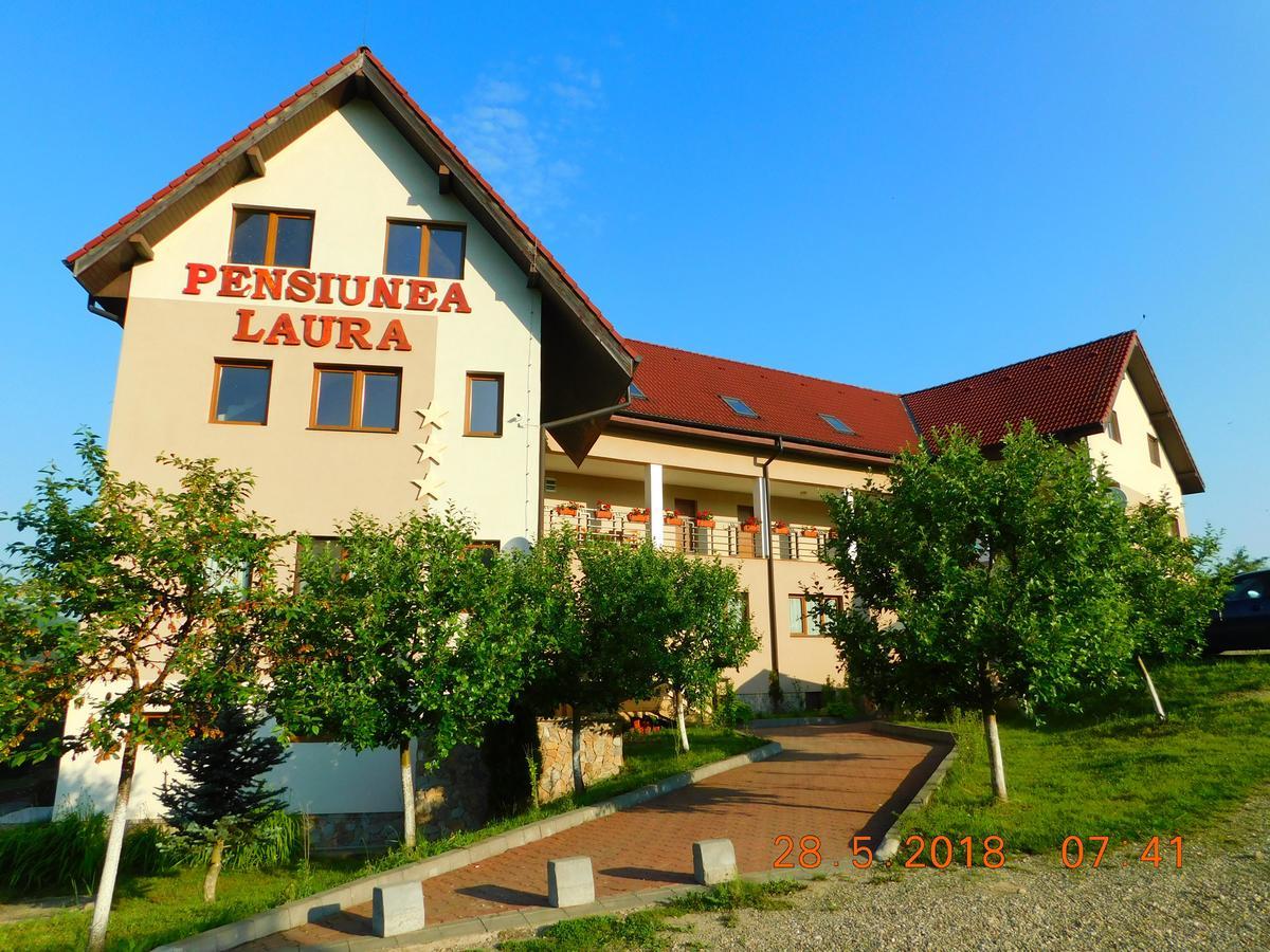 Pension Laura Cheile Turzii Petreştii de Jos Exterior foto