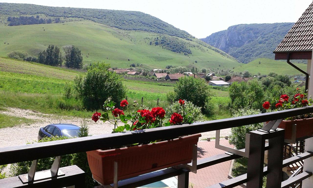 Pension Laura Cheile Turzii Petreştii de Jos Exterior foto